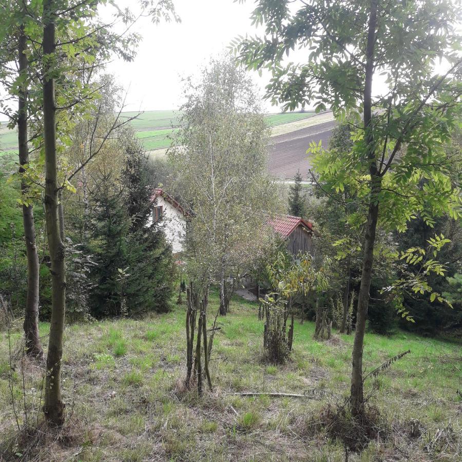 22 Katy Villa Radziemice Exterior photo